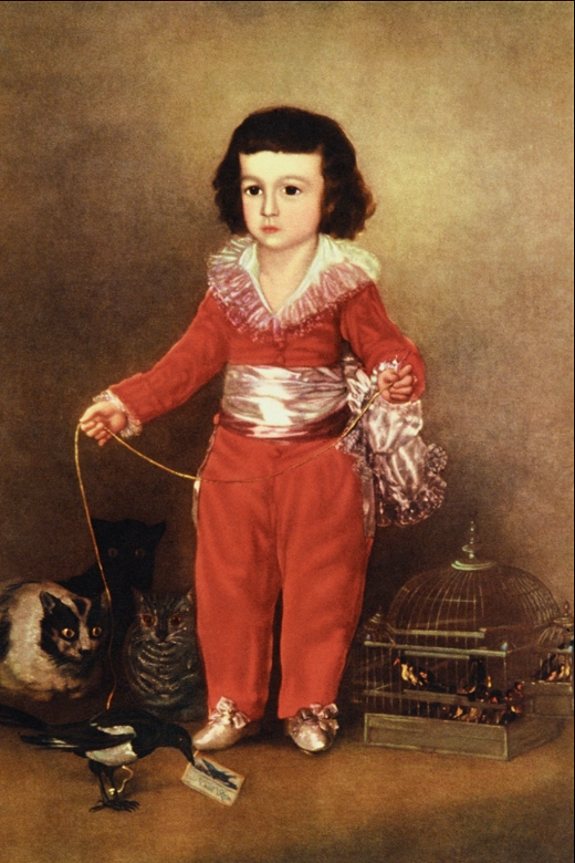 Manuel Osorio Manrique de Zúñiga Painting by Goya
