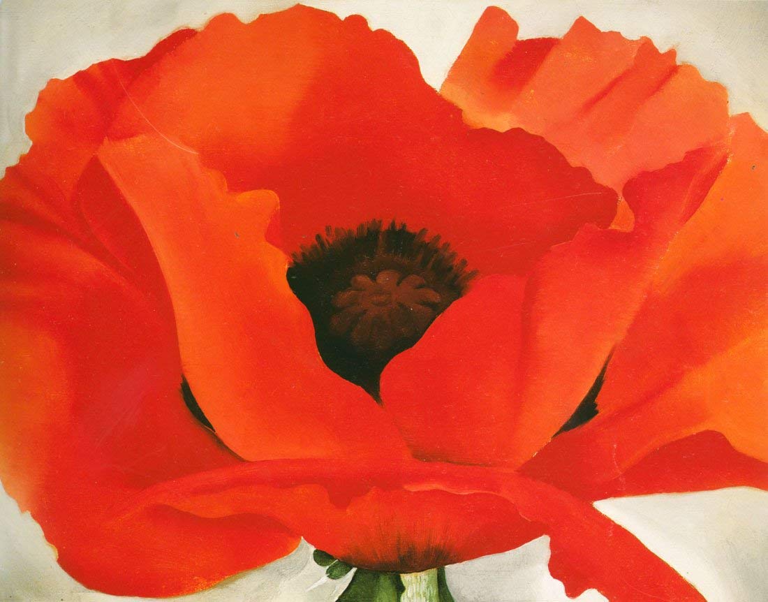 Georgia O Keeffe Famous Flower Paintings Best Flower Site   Georgia O Keeffe Red Poppy 